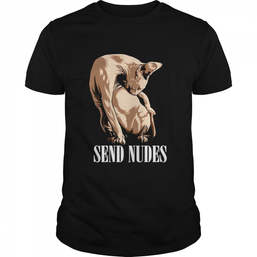 Sphynx Hairless Cat Send Nudes T-shirt